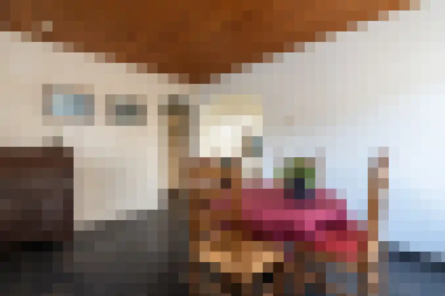 Plantsoenlaan 1 Wildervank thumbnail 8