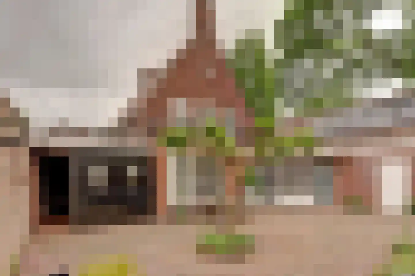 Plantsoenlaan 10 in Wierden