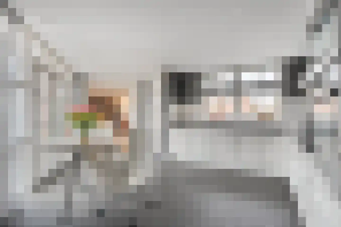Plantsoenlaan 10 Wierden thumbnail 13