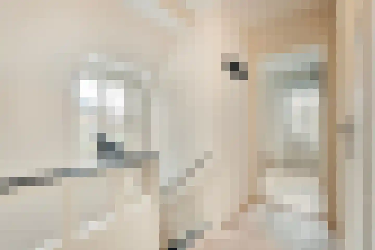 Plantsoenlaan 10 Wierden thumbnail 16