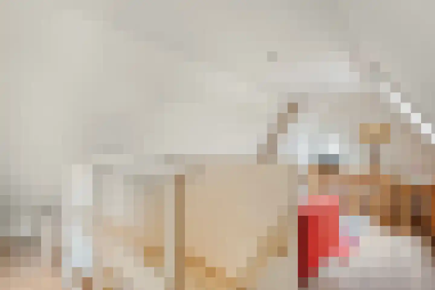 Plantsoenlaan 10 Wierden thumbnail 21