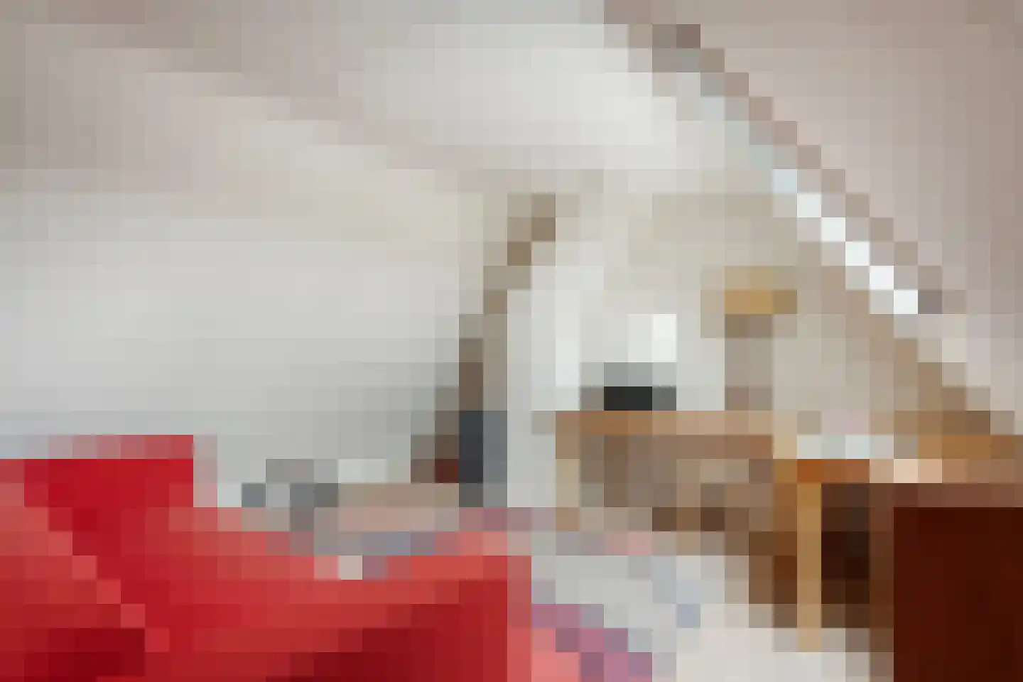 Plantsoenlaan 10 Wierden thumbnail 22