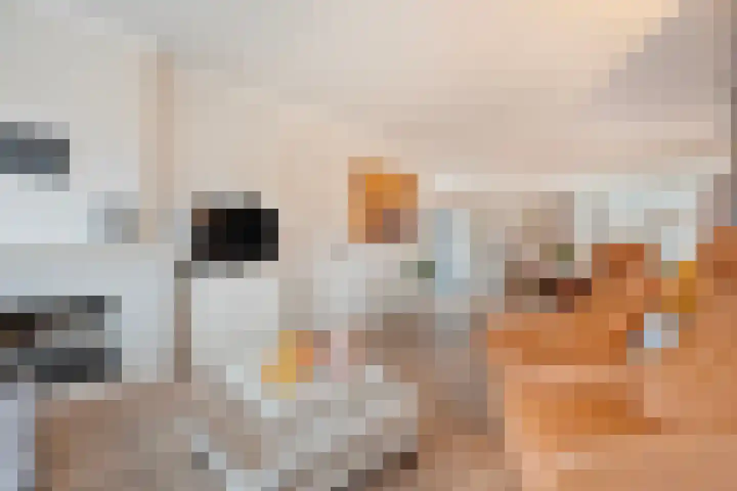 Plantsoenlaan 10 Wierden thumbnail 8