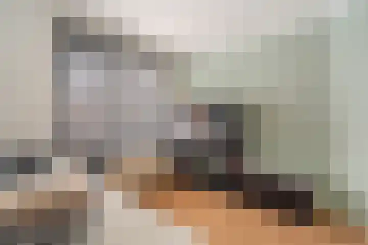 Plantsoenlaan 15 Scheemda thumbnail 8