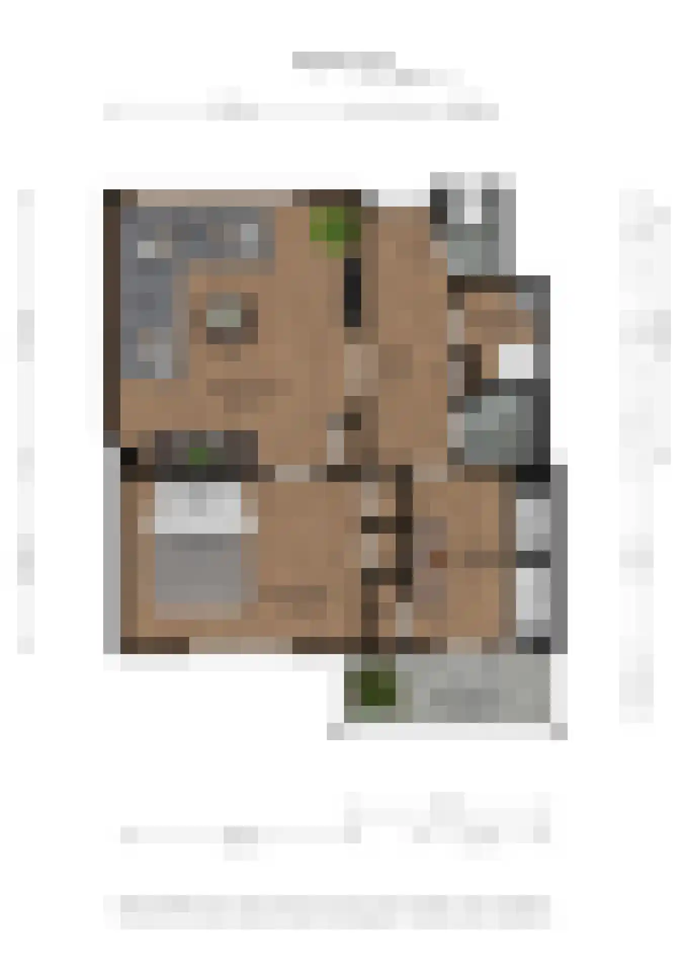 Plantsoenlaan 18 Scheemda thumbnail 35