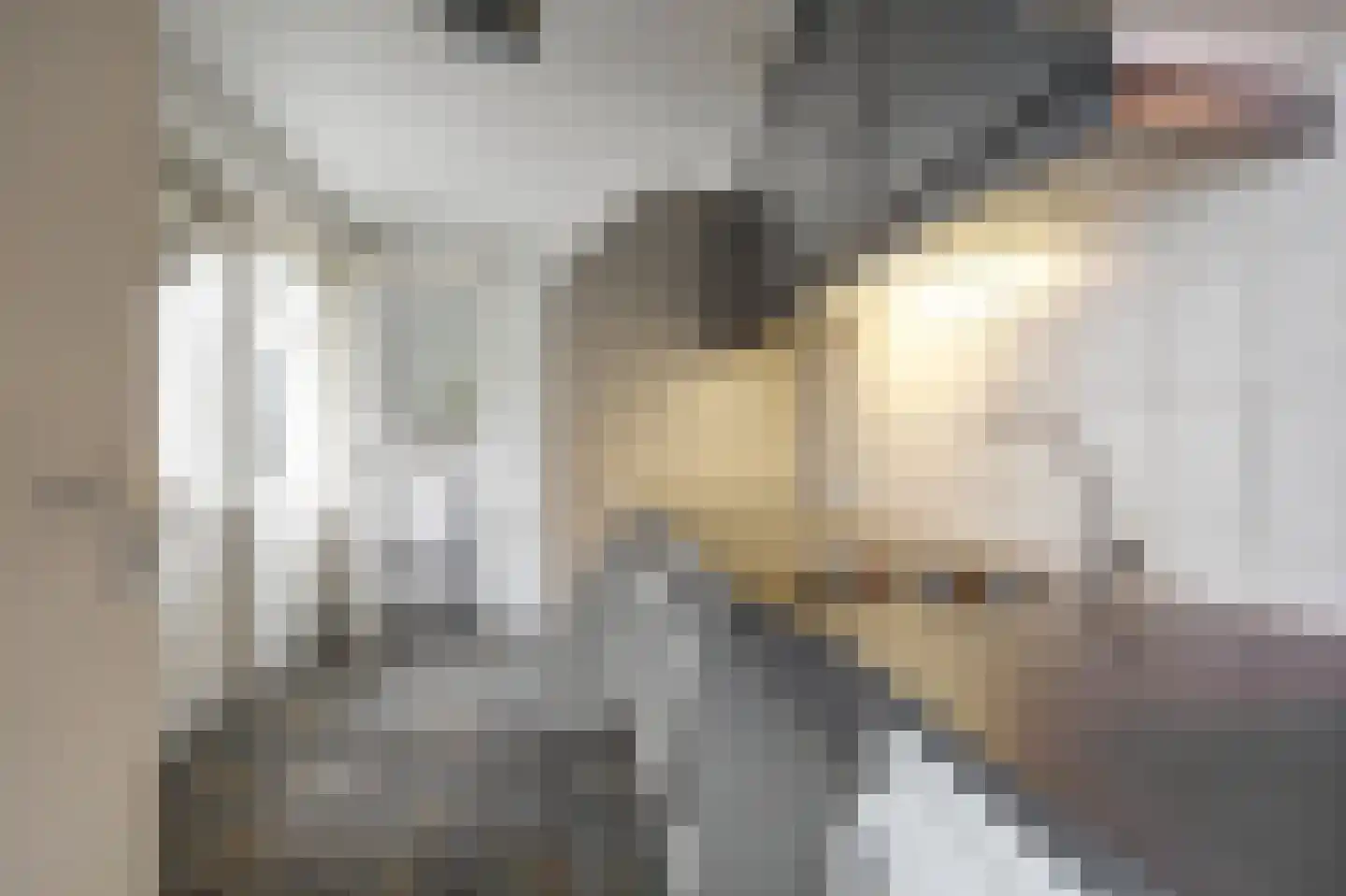 Plantsoenlaan 22 Wierden thumbnail 20