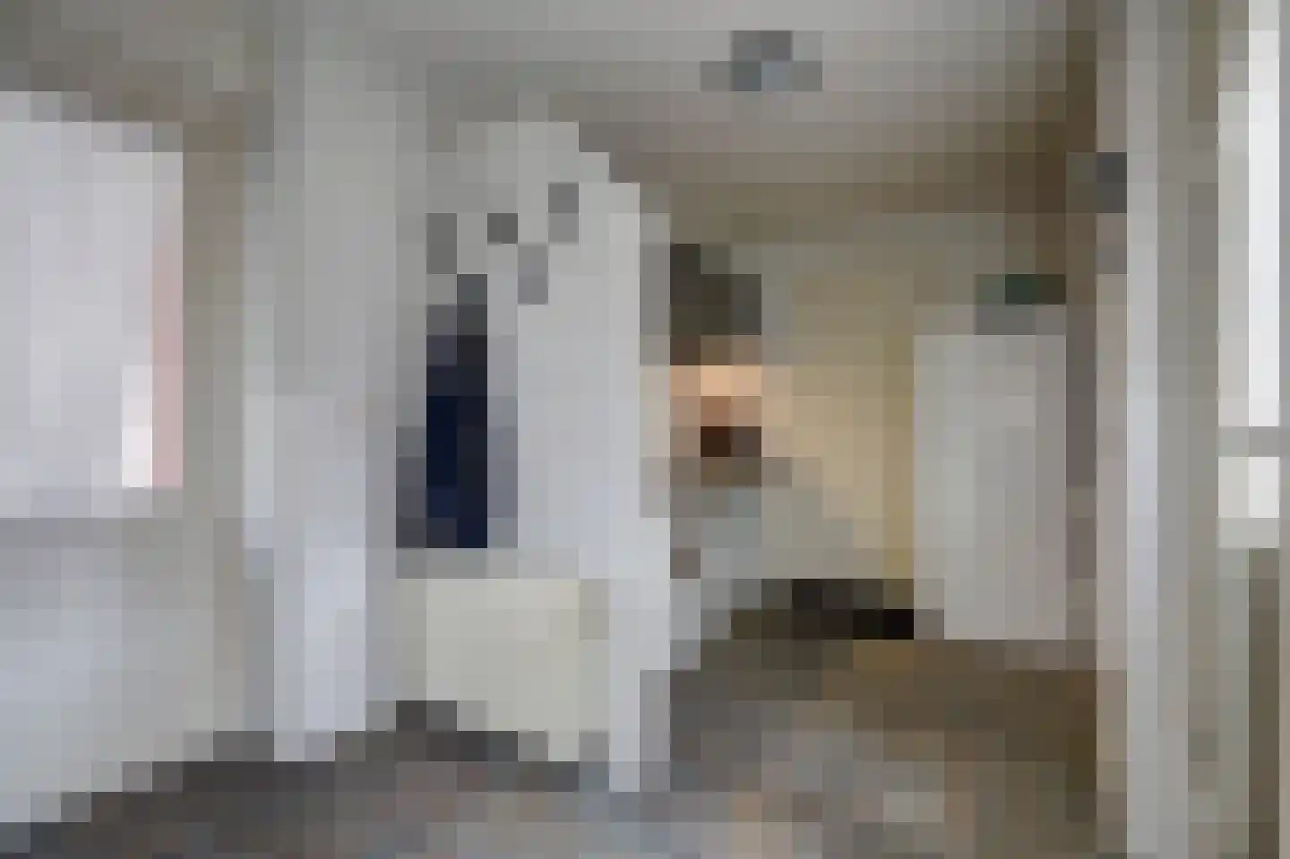 Plantsoenlaan 22 Wierden thumbnail 21