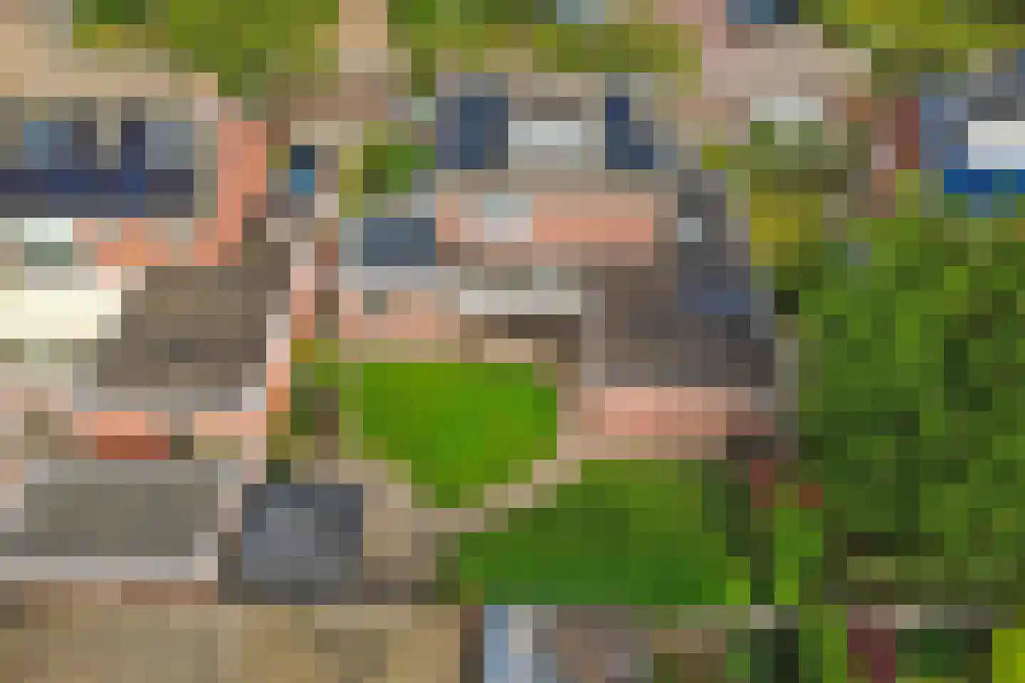 Plantsoenlaan 22 Wierden thumbnail 4