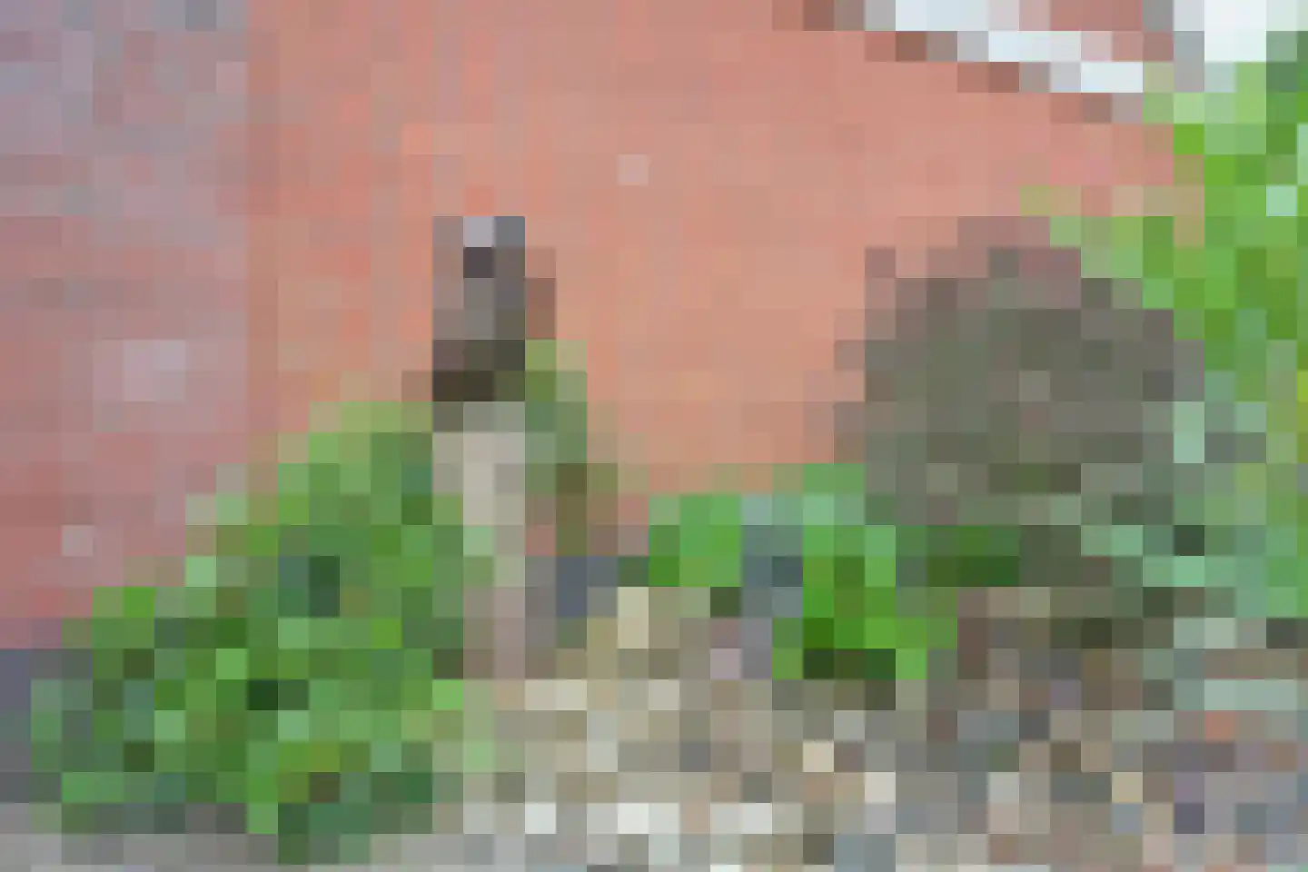 Plantsoenlaan 22 Wierden thumbnail 44