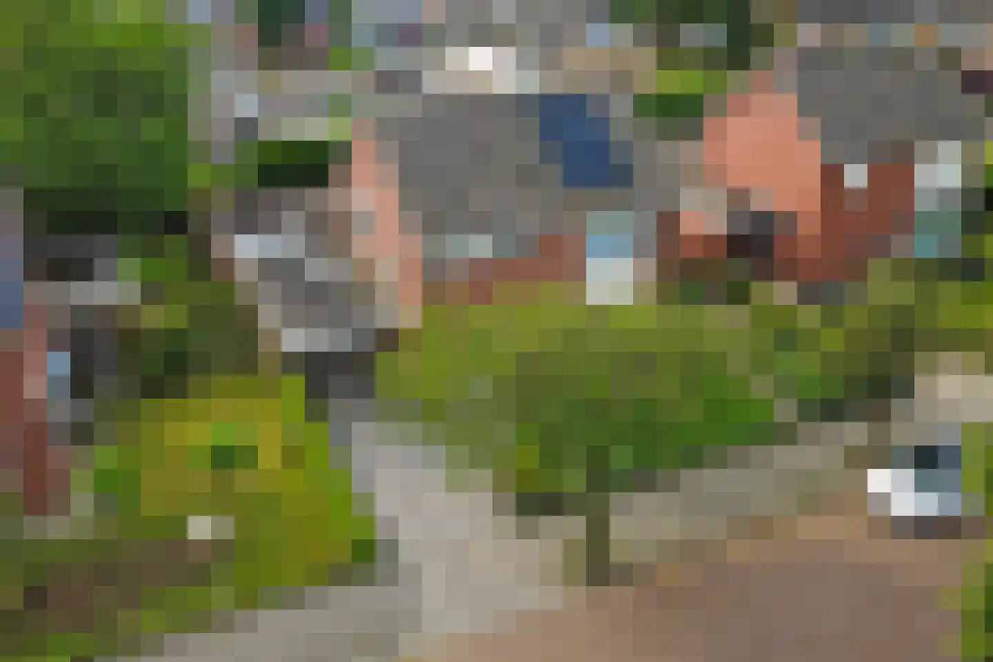 Plantsoenlaan 22 Wierden thumbnail 49