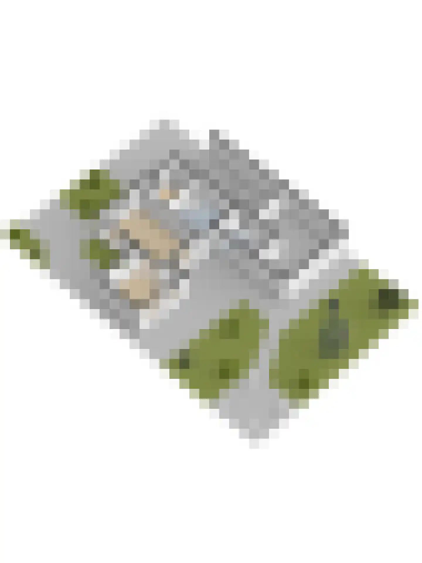 Plantsoenlaan 22 Wierden thumbnail 55