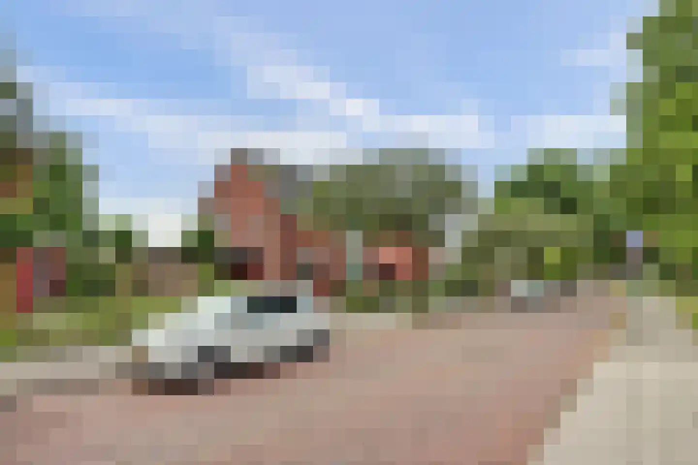 Plantsoenlaan 22 Wierden thumbnail 6