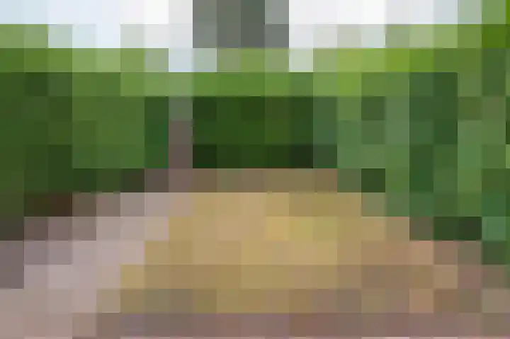 Plantsoenlaan 26 Scheemda thumbnail 19