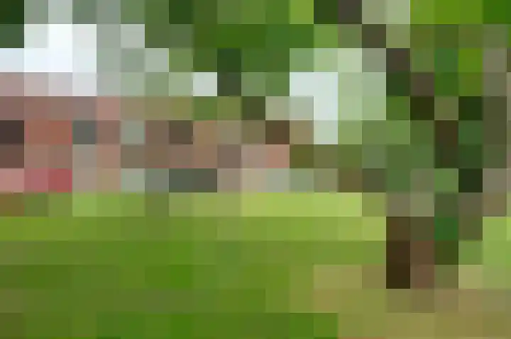 Plantsoenlaan 26 Scheemda thumbnail 4