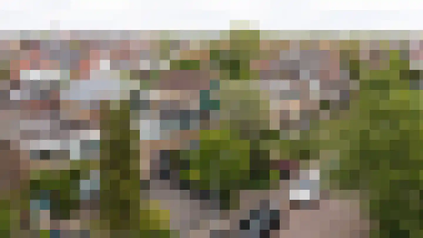 Plantsoenlaan 27 Zwanenburg thumbnail 4