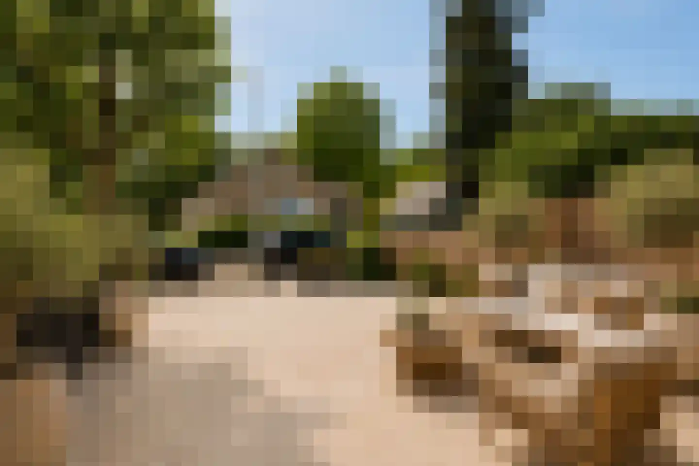 Plantsoenlaan 27 Zwanenburg thumbnail 46