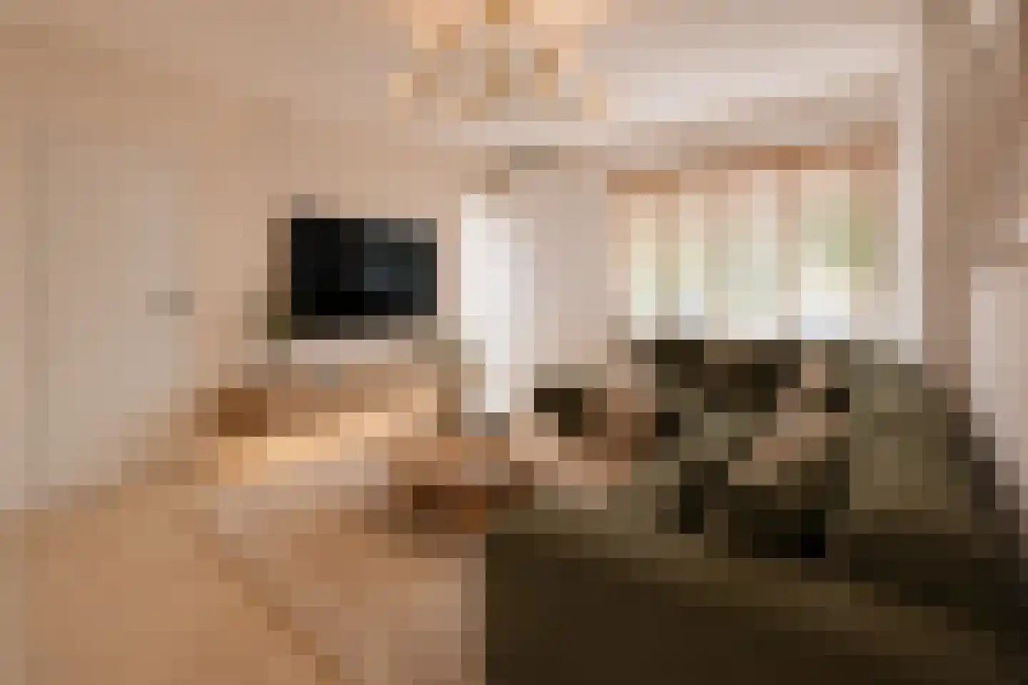 Plantsoenlaan 27 Zwanenburg thumbnail 7