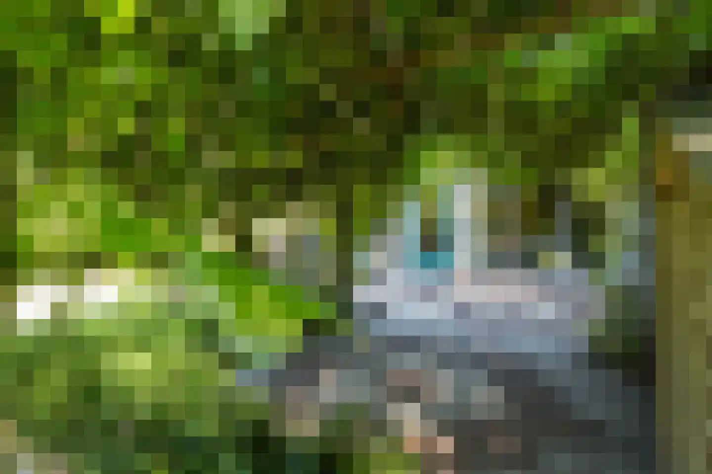 Plantsoenlaan 29 Scheemda thumbnail 38