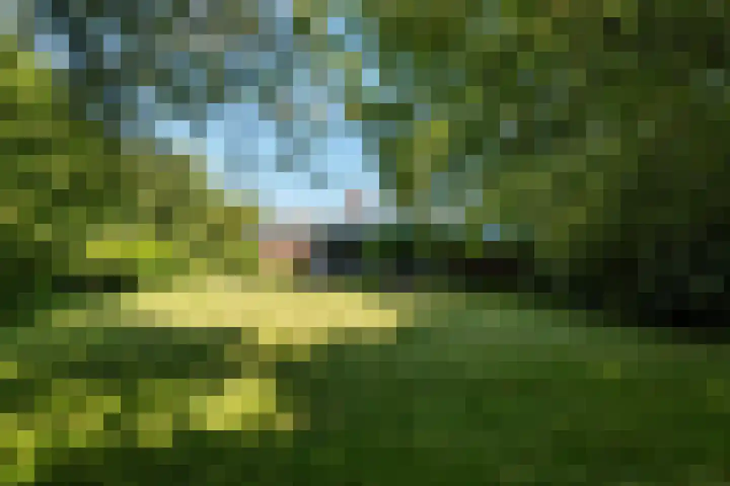 Plantsoenlaan 29 Scheemda thumbnail 39