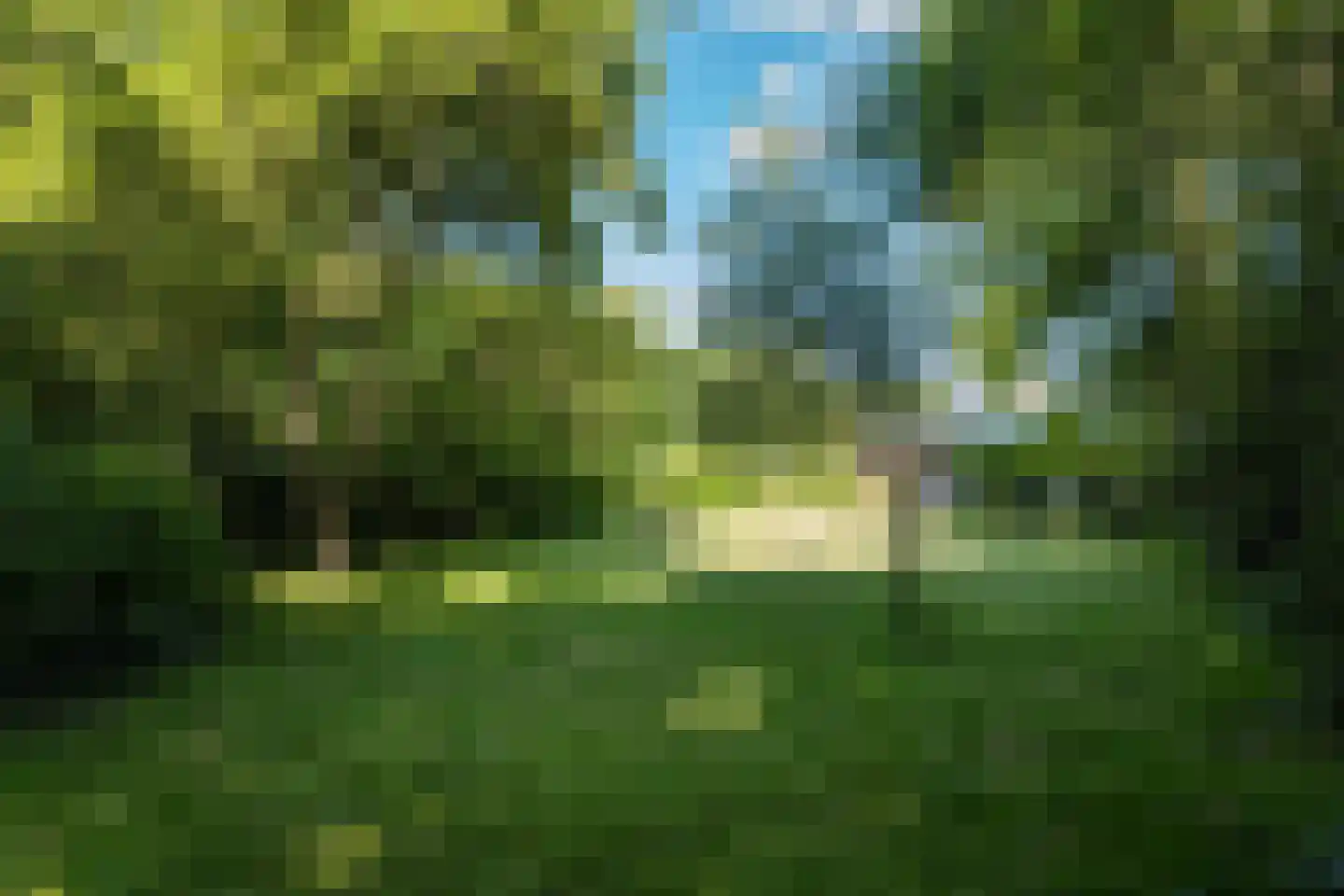 Plantsoenlaan 29 Scheemda thumbnail 40