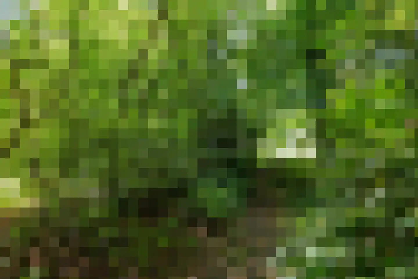 Plantsoenlaan 29 Scheemda thumbnail 56