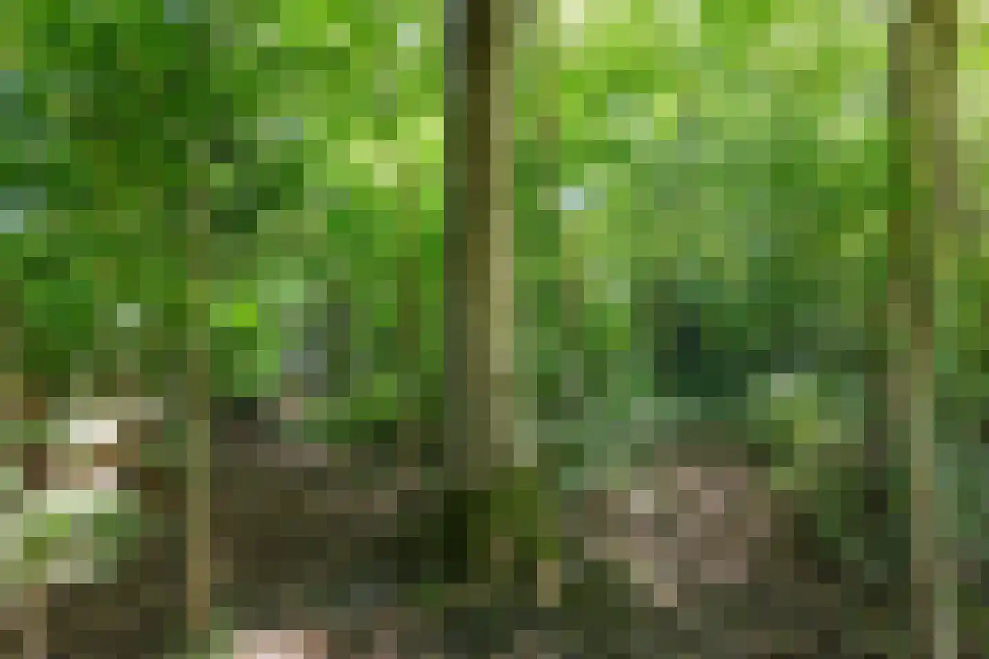 Plantsoenlaan 29 Scheemda thumbnail 57