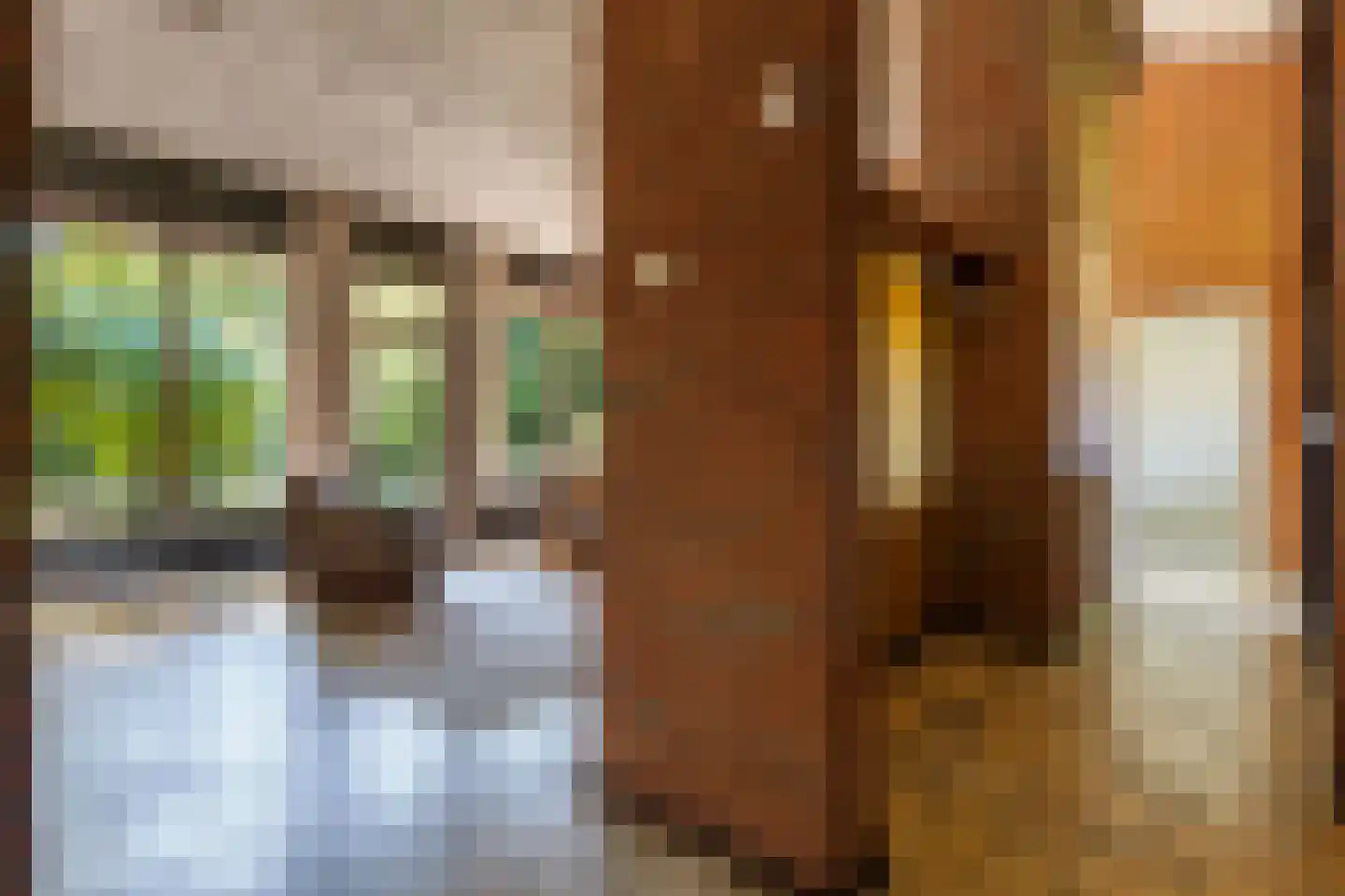 Plantsoenlaan 29 Scheemda thumbnail 7