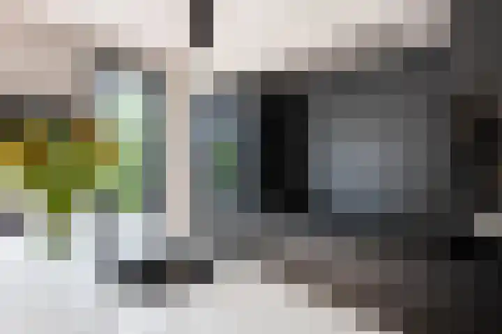 Plantsoenlaan 9 Bloemendaal thumbnail 13