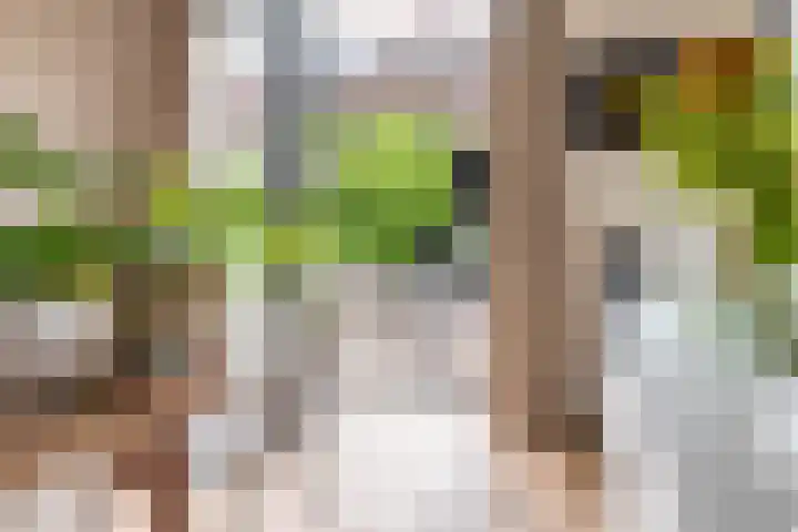 Plantsoenlaan 9 Bloemendaal thumbnail 14