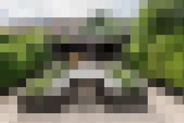 Plantsoenlaan 9 Bloemendaal thumbnail 15