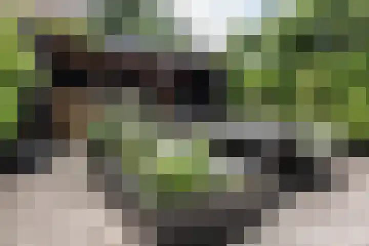 Plantsoenlaan 9 Bloemendaal thumbnail 16