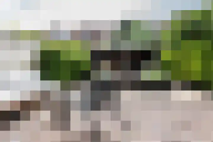Plantsoenlaan 9 Bloemendaal thumbnail 17