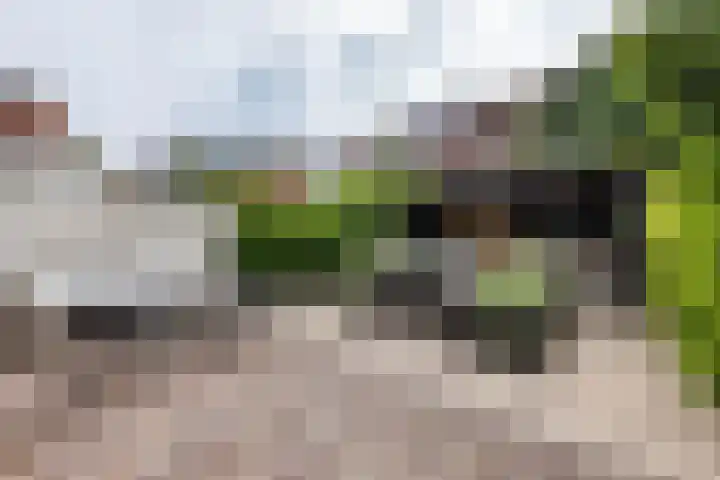 Plantsoenlaan 9 Bloemendaal thumbnail 18