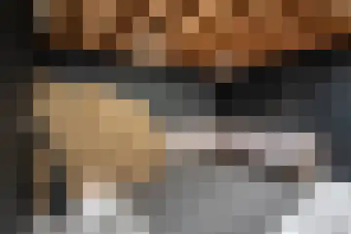 Plantsoenlaan 9 Bloemendaal thumbnail 20