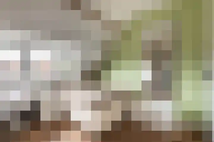 Plantsoenlaan 9 Bloemendaal thumbnail 38