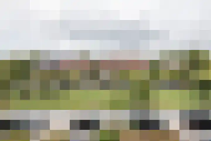 Plantsoenlaan 9 Bloemendaal thumbnail 43