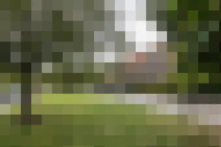 Plantsoenlaan 9 Bloemendaal thumbnail 47