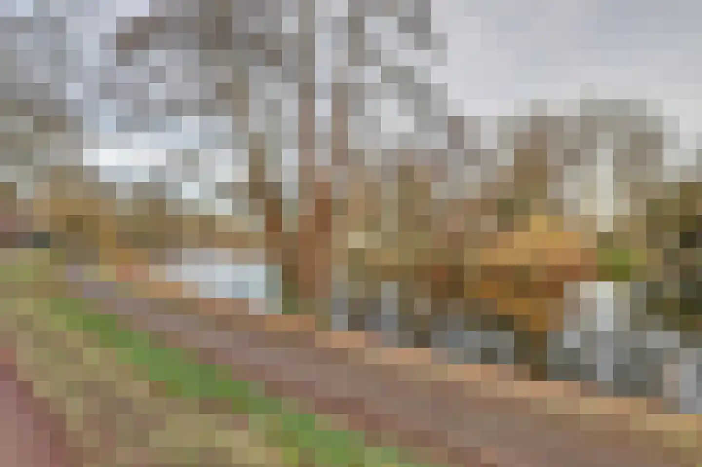Plantsoenstraat 1 Deventer thumbnail 22
