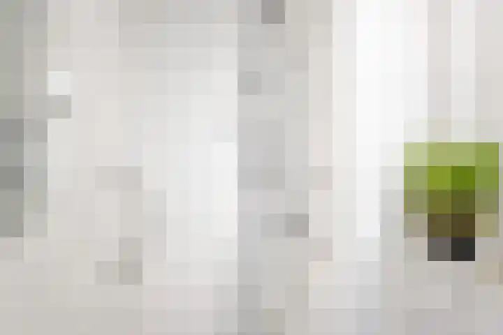 Plantsoenstraat 1 Doetinchem thumbnail 21