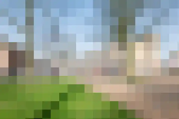 Plantsoenstraat 1 Doetinchem thumbnail 28