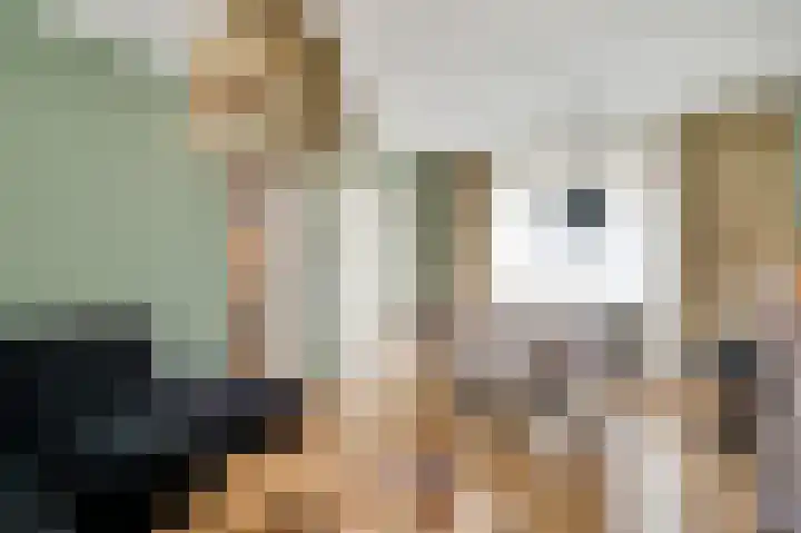 Plantsoenstraat 1 Linne thumbnail 10