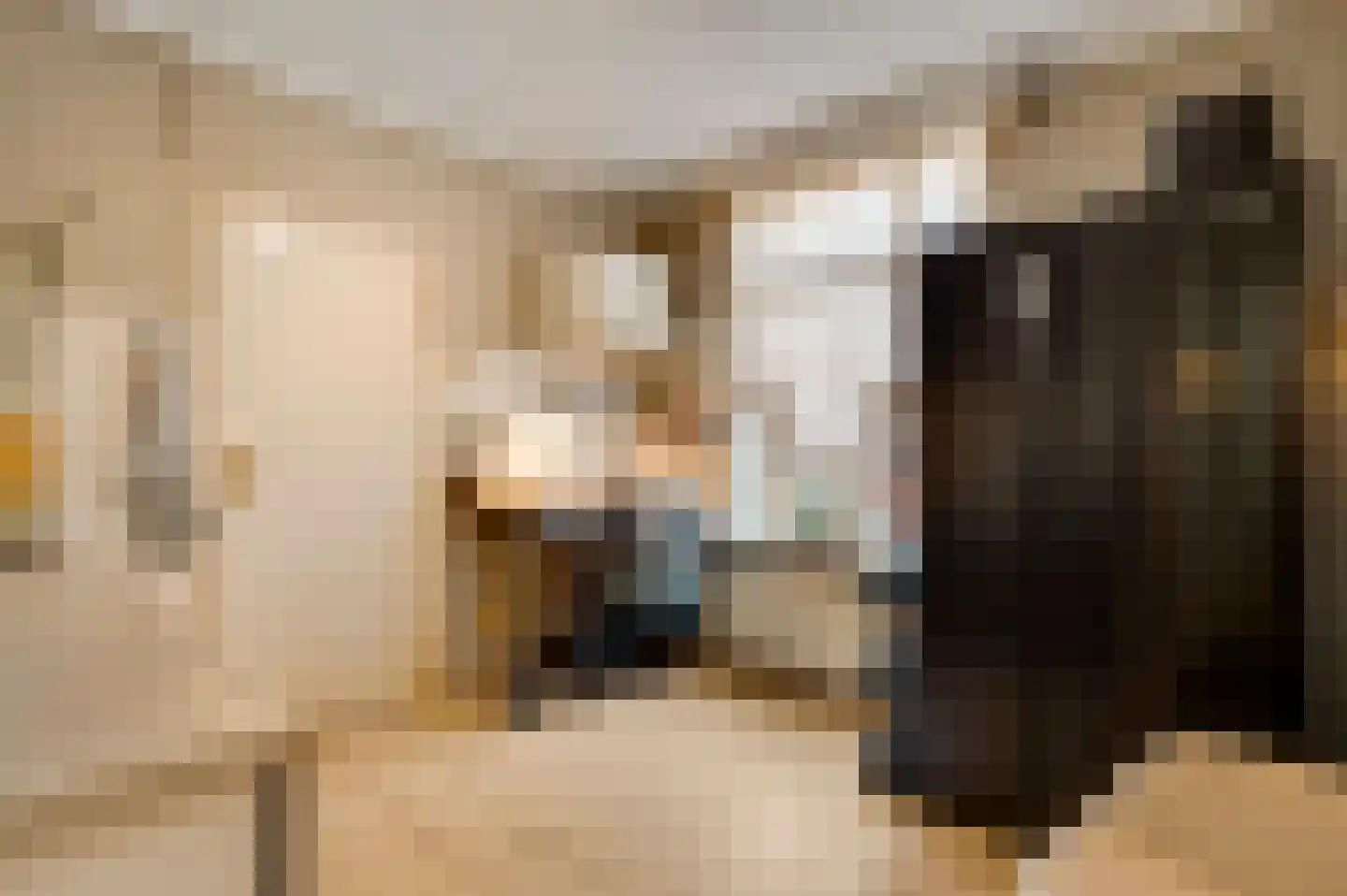 Plantsoenstraat 1 Linne thumbnail 11