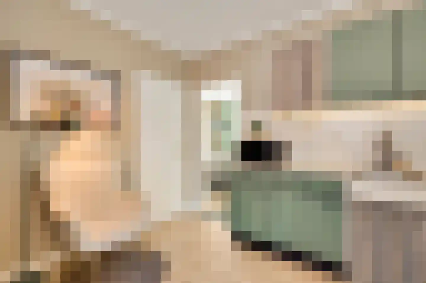 Plantsoenstraat 1 Linne thumbnail 12