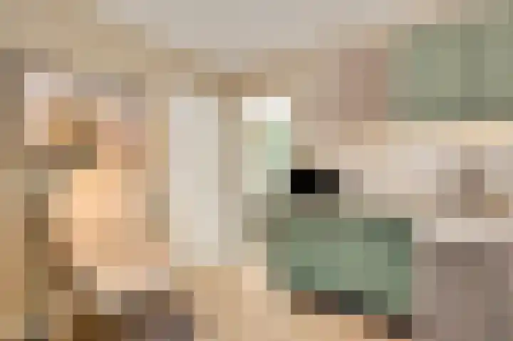 Plantsoenstraat 1 Linne thumbnail 12