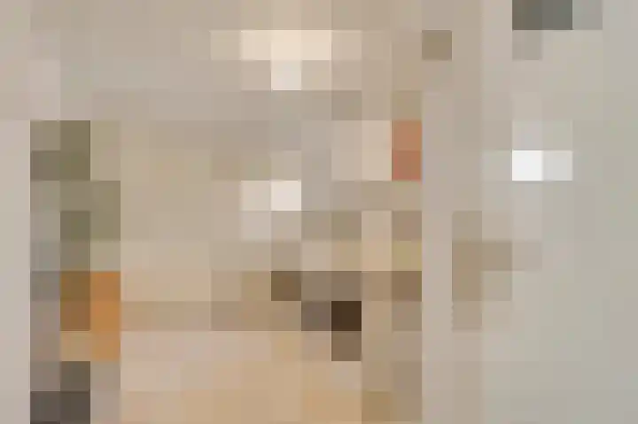 Plantsoenstraat 1 Linne thumbnail 13