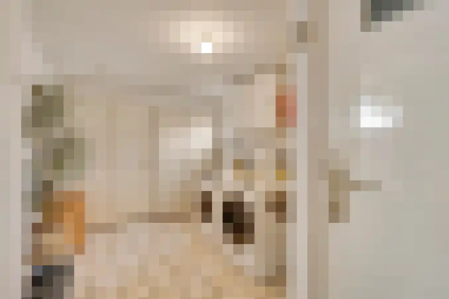Plantsoenstraat 1 Linne thumbnail 13