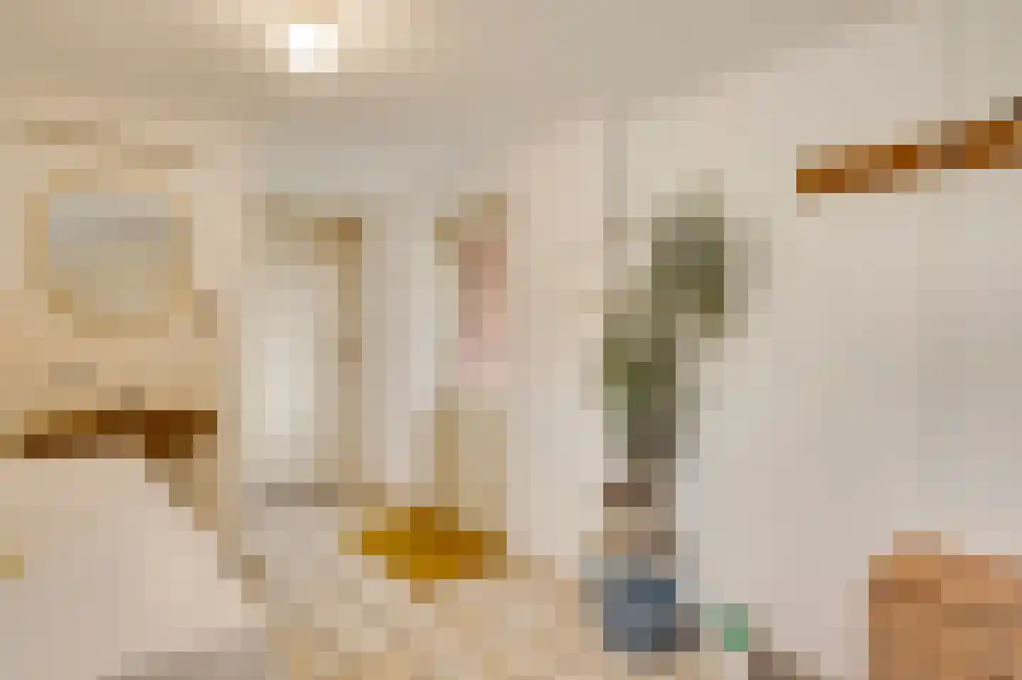 Plantsoenstraat 1 Linne thumbnail 14