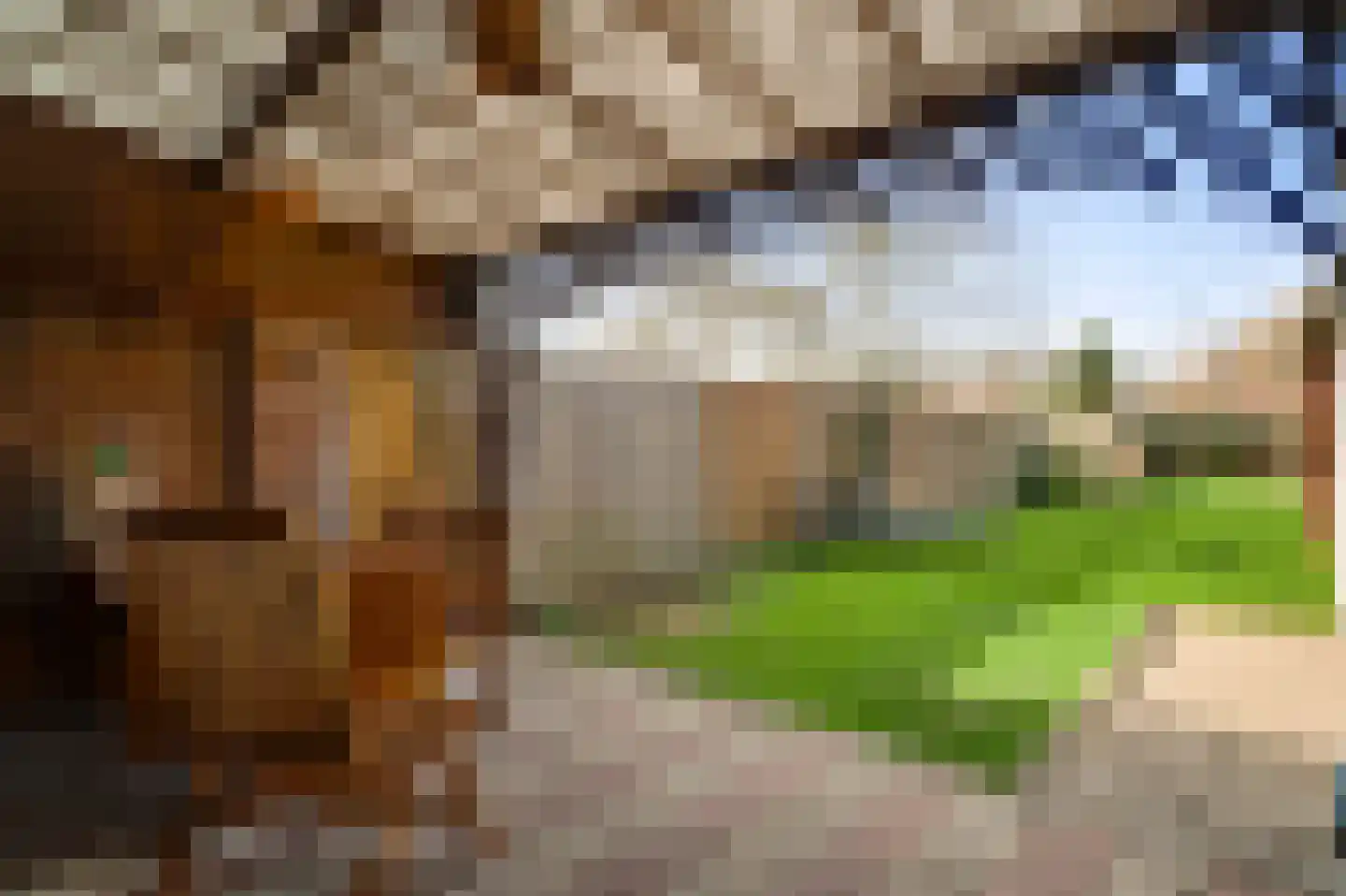 Plantsoenstraat 1 Linne thumbnail 16