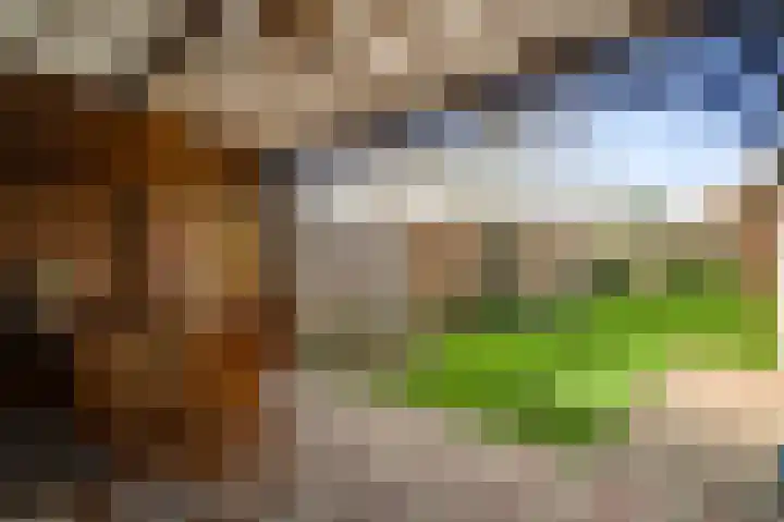 Plantsoenstraat 1 Linne thumbnail 16