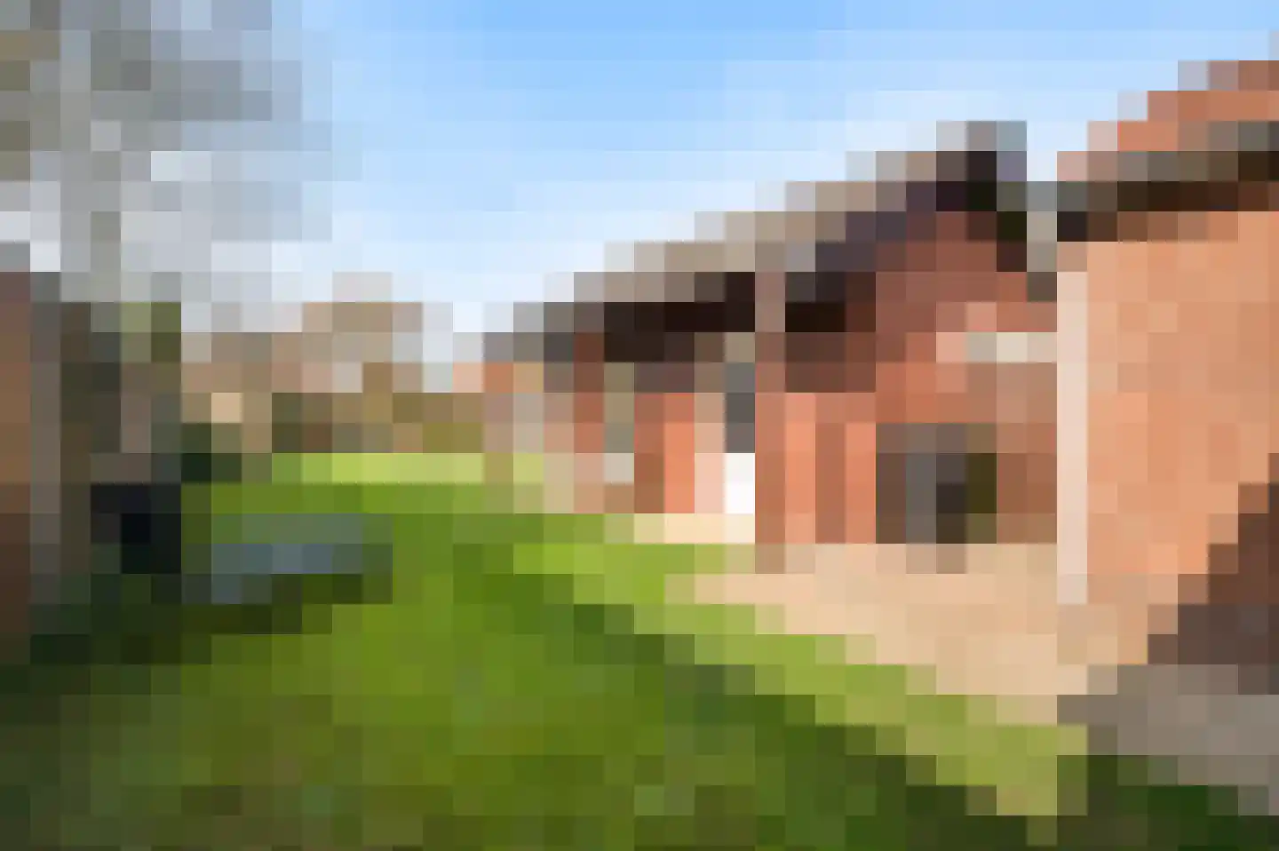 Plantsoenstraat 1 Linne thumbnail 17